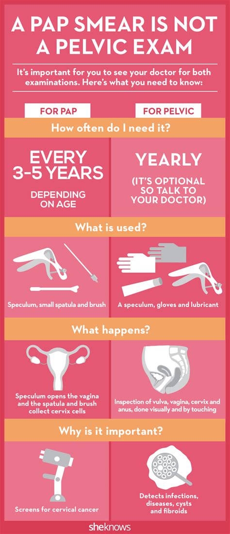 Pap Smear Vs Hpv Test An Overview | Hot Sex Picture