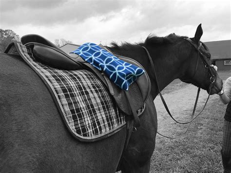 Horse Stirrup Cover Pattern BUNDLE Sewing Instant Download - Etsy Australia