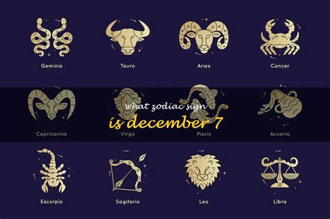 What Does Your Zodiac Say If You Were Born On December 7Th? | ShunSpirit