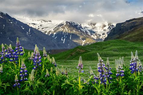 Majestic Mountains Photograph by Amanda Jones