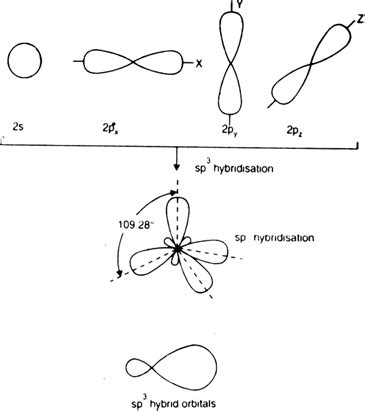 Hybridization involving s, p and d orbitals - W3schools