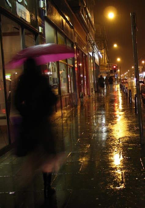 Rainy Street at Night Free Photo Download | FreeImages