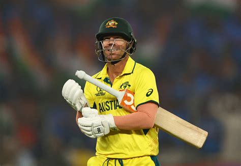 Australia's Warner withdrawn from T20 series against India | Reuters