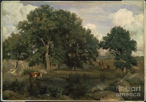 Forest of Fontainebleau Painting by MotionAge Designs | Fine Art America