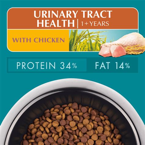 Buy Purina One Adult Urinary Tract Health Chicken Dry Cat Food Online | Better Prices At Pet Circle