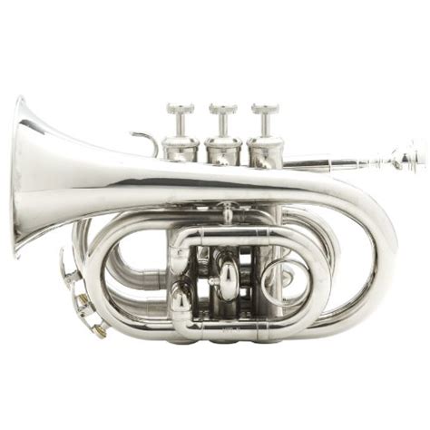 10 Best Trumpet Brands for Beginners, Students & Professionals in 2019