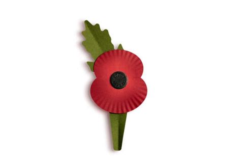 Remembrance poppies to be plastic free this year in major redesign ...