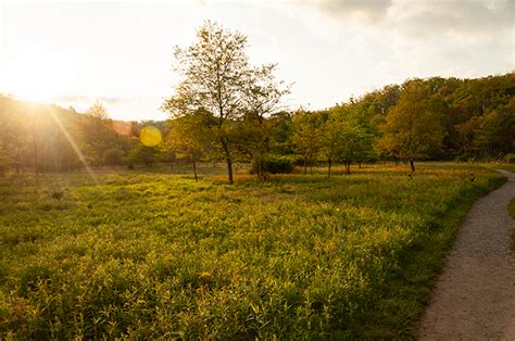 The 15 Best Boone NC Hiking Trails to Explore