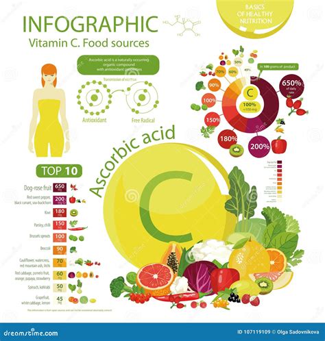 Vitamin C or Ascorbic Acid. Stock Vector - Illustration of kohlrabi, food: 107119109