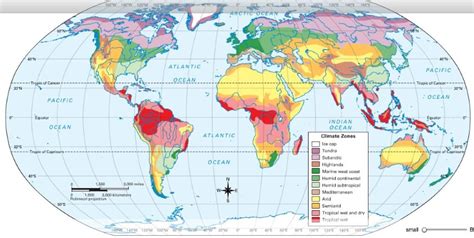 Rainforest Climate (Tropical Evergreen Climate) - PMF IAS