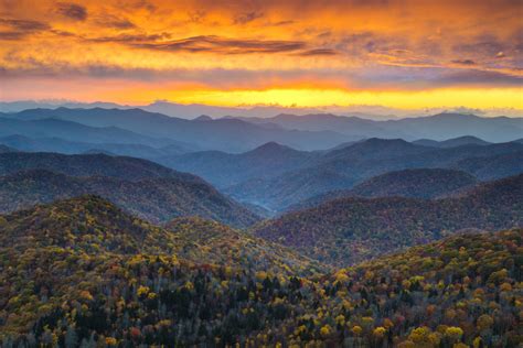 Fall Forecast and Weekly Fall Color Report | Asheville, NC's Official ...