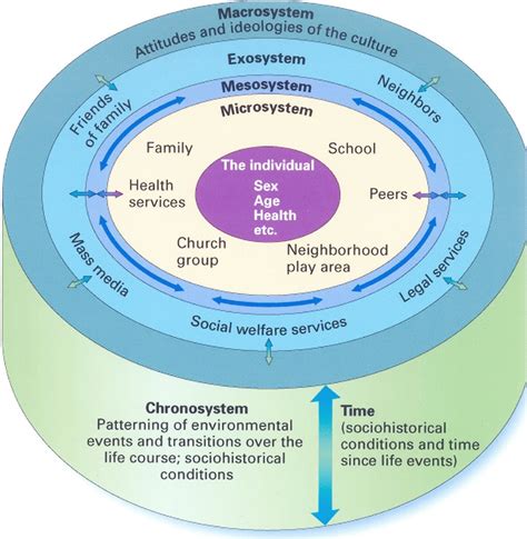 Bronfenbrenner's Ecological Theory Diagram | Quizlet