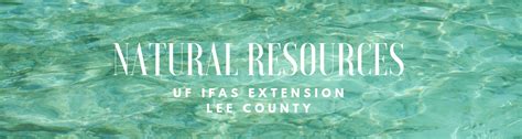 Natural Resources Archives - UF/IFAS Extension Lee County