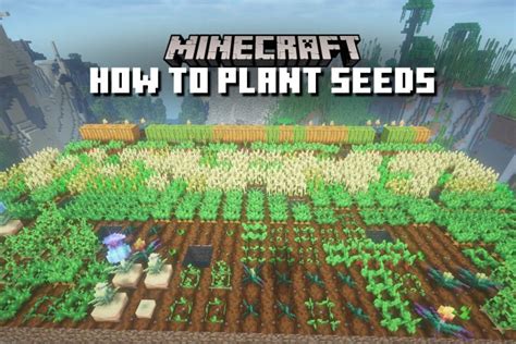 How to Plant Seeds in Minecraft - Complete Guide for All Crops