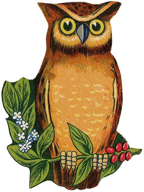 28 Owl Clipart - Marvelous- Updated! | Owl images, Owl, Vintage owl