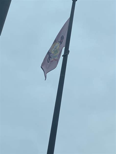 Flag of Pennsylvania but instead of being a seal on a blue background it’s a seal on a violet ...