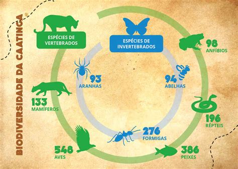 A fauna da Caatinga - aCaatinga