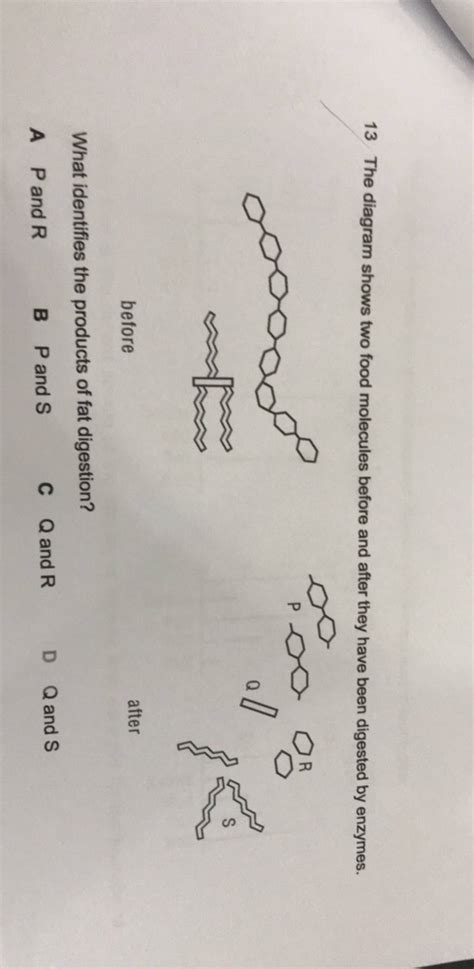 13 The diagram shows two food molecules before and after they have been d..