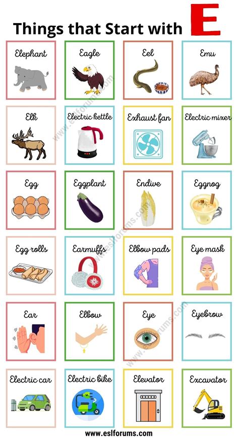 160 Things that Start with E | E Words for Kids | E words for kids, E words, Vocabulary words