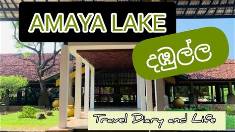 දඹුල්ලේ ලස්සන හොටෙල් එකක් Amaya Lake Dambulla - Hotel Review - YouTube