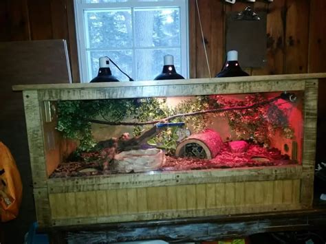 15+ DIY Reptile Enclosure Plans [Free] - MyMyDIY | Inspiring DIY Projects