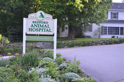 Animal Hospital in Bedford, NH | Bedford Animal Hospital