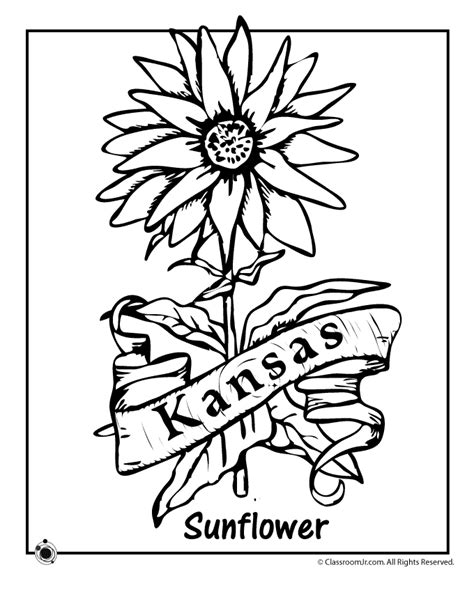 Kansas State Flower Coloring Page | Woo! Jr. Kids Activities : Children ...