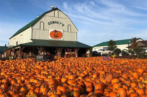 There's a massive pumpkin festival near Toronto opening this month