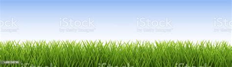 Grass Border And With White Background Stock Illustration - Download Image Now - Advertisement ...