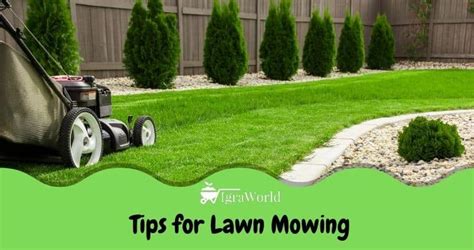 12 Lawn Mowing Tips: How to Cut the Grass the Right Way | Igra-World