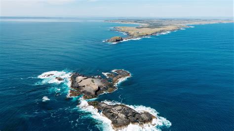 Helicopter Scenic Flight - Seal Rocks, Tour, Phillip Island, Victoria ...