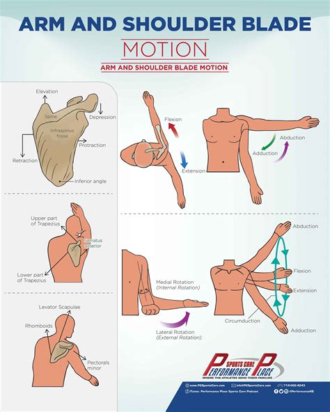 9 Shoulder Pain Stats Every Pitcher Should Know - Performance Place ...