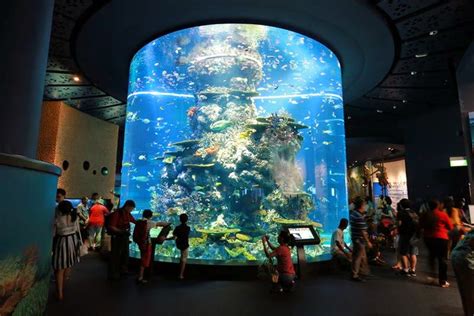 SEA Aquarium, The World's Largest Aquarium | Sentosa, Singapore | Never Ever Seen Before