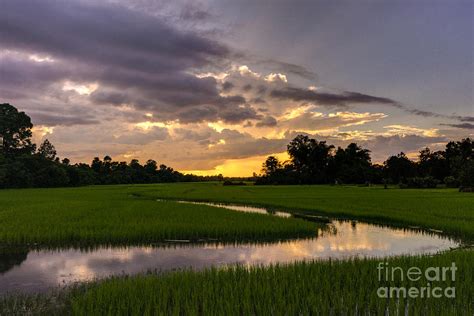 Cambodia Rice Fields Sunset Photograph by Mike Reid