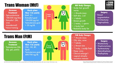 Infographic - Trans-gender-affirmation - The Curbsiders