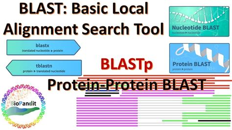 Basic Local Alignment Search Tool: Protein BLAST (BLASTp) - YouTube