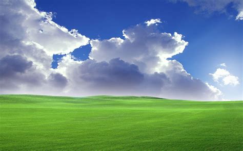 Open Field Wallpapers - Top Free Open Field Backgrounds - WallpaperAccess