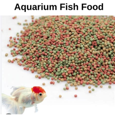 Buy Fish at Best Price in Pakistan - (2023) - Daraz.pk