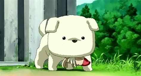 Aggregate 73+ anime dog characters best - in.coedo.com.vn