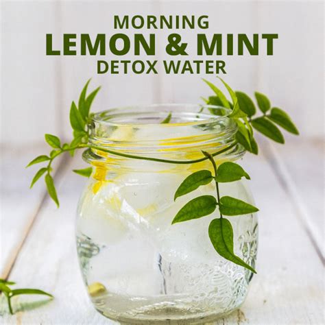 Detox Waters For Clear Skin #DetoxJuices | Mint detox water, Detox water, Lemon detox water