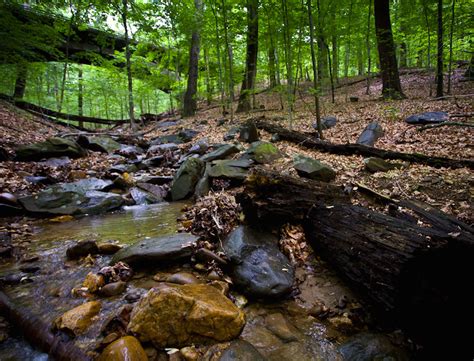 Rock Creek Park | Goop