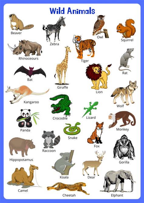 Wild Animals Flashcards - English4Good - Vocabulary Time