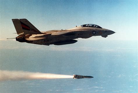 An air-to-air right view of an F-14 Tomcat aircraft from Fighter ...