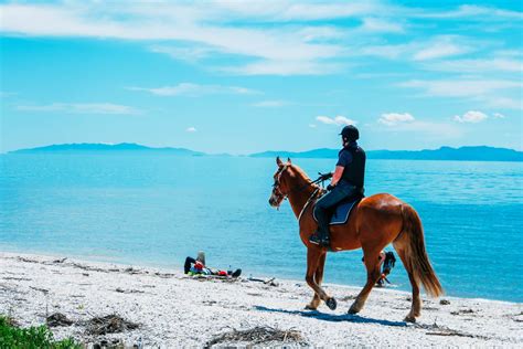 Where to Go Horseback Riding in the Caribbean