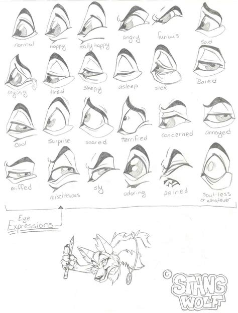 Eye Expressions by StangWolf on DeviantArt