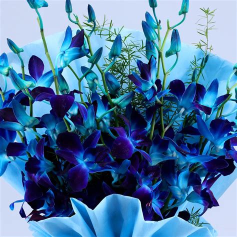 Memorise Blue Orchids Bouquet – India's Best Florist Autumn Lotus