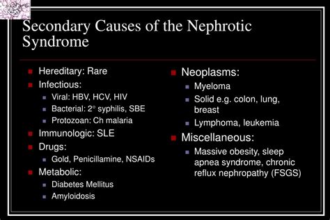 PPT - Secondary Causes of the Nephrotic Syndrome PowerPoint Presentation - ID:4276790