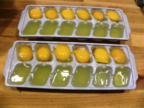 Living From Scratch: Preserving Eggs