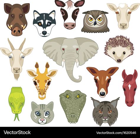 Animal heads set Royalty Free Vector Image - VectorStock