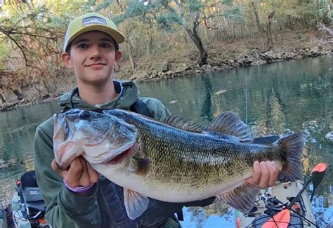 FWC certifies new state record shoal bass caught on the Chipola River ...